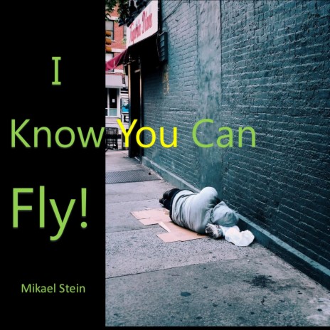 I Know You Can Fly! | Boomplay Music