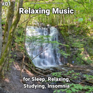 #01 Relaxing Music for Sleep, Relaxing, Studying, Insomnia
