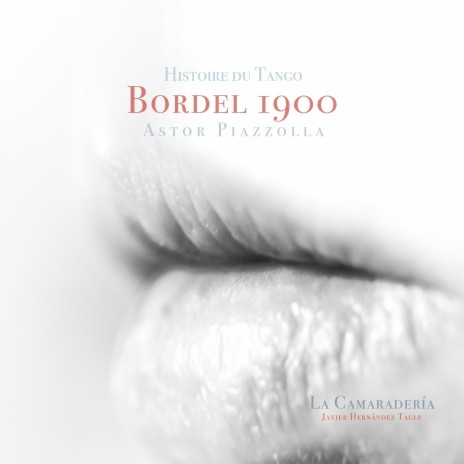 Piazzolla / Arr. Javier Hernández Tagle: Histoire du Tango, Bordel 1900 ft. La Camaradería | Boomplay Music