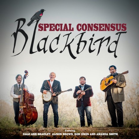 Blackbird ft. Dale Ann Bradley, Alison Brown, Rob Ickes & Amanda Smith | Boomplay Music