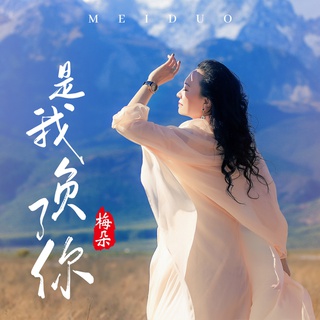 是我负了你 (伴奏) lyrics | Boomplay Music