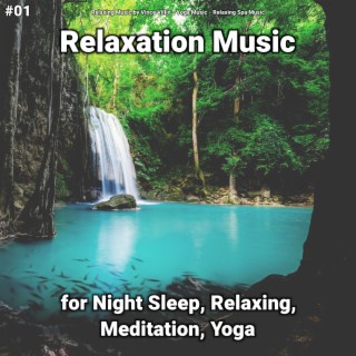 #01 Relaxation Music for Night Sleep, Relaxing, Meditation, Yoga