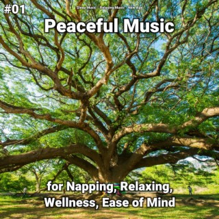 #01 Peaceful Music for Napping, Relaxing, Wellness, Ease of Mind