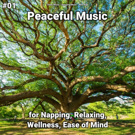 Meditation Music ft. Sleep Music & Relaxing Music | Boomplay Music