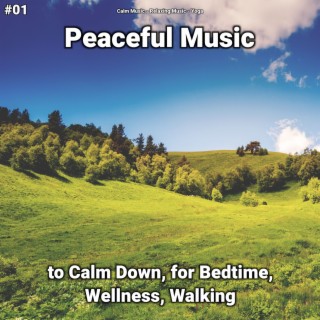 #01 Peaceful Music to Calm Down, for Bedtime, Wellness, Walking