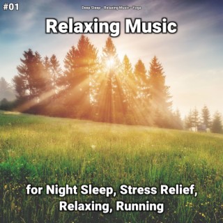 #01 Relaxing Music for Night Sleep, Stress Relief, Relaxing, Running