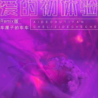 爱的初体验(Remix版)