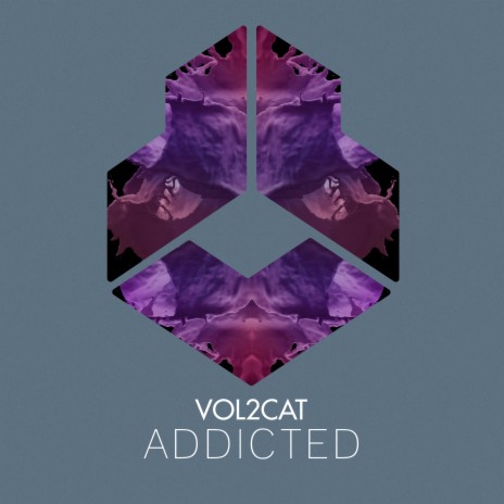 Addicted (Radio Edit) | Boomplay Music