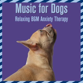 Music for Dogs: Relaxing BGM Anxiety Therapy