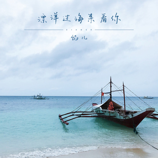 漂洋过海来看你 (Dj沈念版) lyrics | Boomplay Music