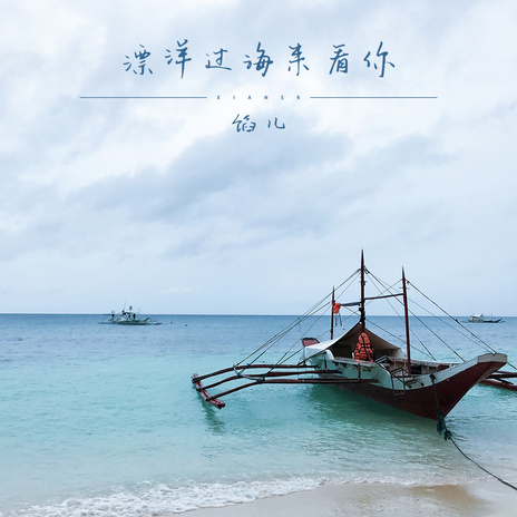 漂洋过海来看你 (Dj沈念版) | Boomplay Music