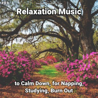 #01 Relaxation Music to Calm Down, for Napping, Studying, Burn Out