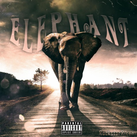 Elephant | Boomplay Music