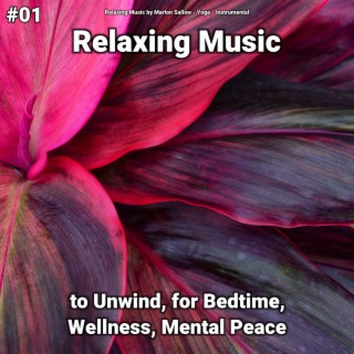 #01 Relaxing Music to Unwind, for Bedtime, Wellness, Mental Peace