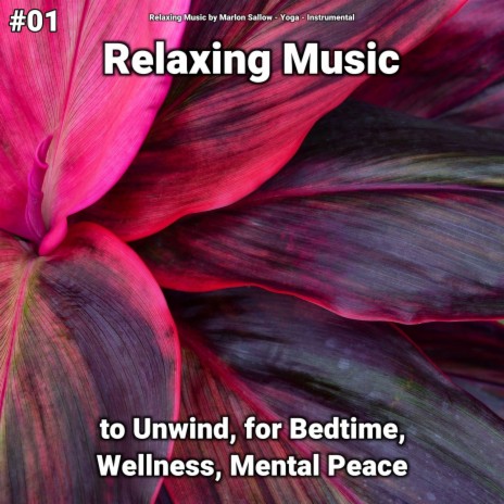 Meditation Music ft. Relaxing Music by Marlon Sallow & Instrumental