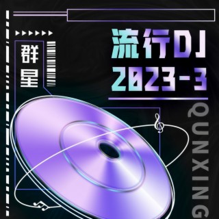 随时可以打扰的人 (DJ版) lyrics | Boomplay Music