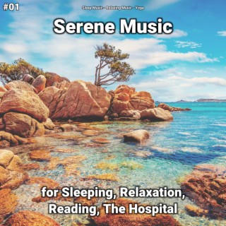 #01 Serene Music for Sleeping, Relaxation, Reading, The Hospital