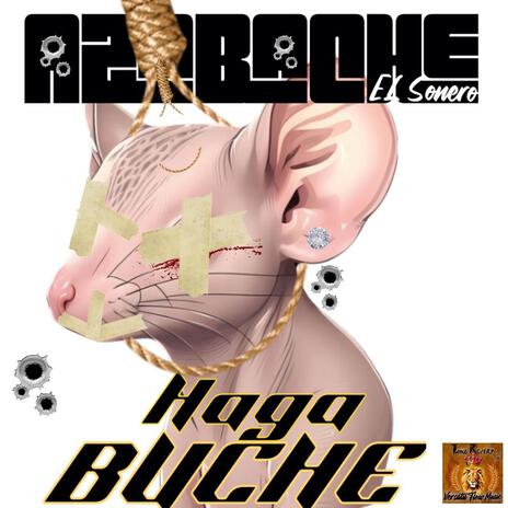 haga buche | Boomplay Music