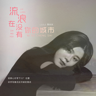 流浪在没有你的城市 (伴奏) lyrics | Boomplay Music