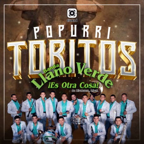 Popurrí Toritos | Boomplay Music