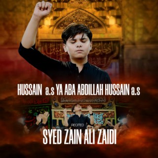 Hussain Ya Aba Abdillah Hussain