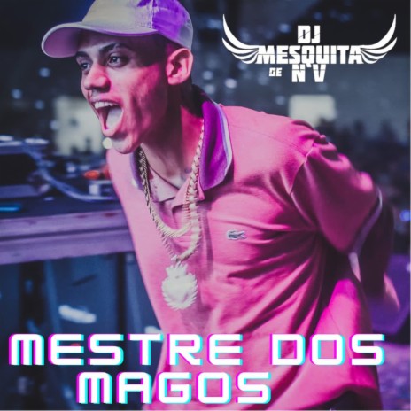 Mestre dos Magos ft. MC ROGIN DO BF | Boomplay Music