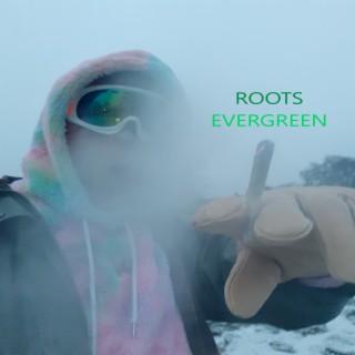 #Evergreen