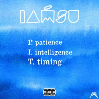 P.I.T. (Patience, Intelligence, Timing)