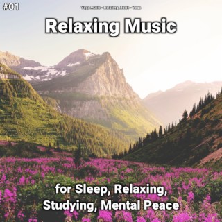 #01 Relaxing Music for Sleep, Relaxing, Studying, Mental Peace