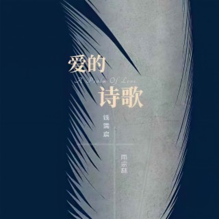 爱的诗歌 ft. 雨宗林 lyrics | Boomplay Music