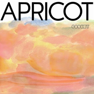 Apricot