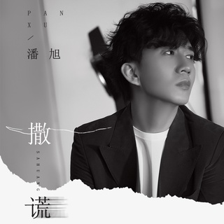 撒谎 (伴奏) lyrics | Boomplay Music