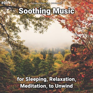 #01 Soothing Music for Sleeping, Relaxation, Meditation, to Unwind
