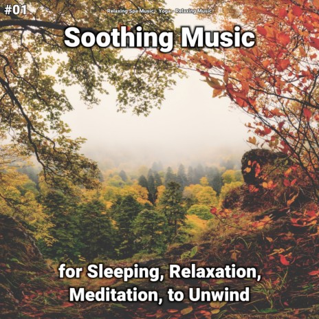 Meditation Music ft. Relaxing Spa Music & Relaxing Music | Boomplay Music