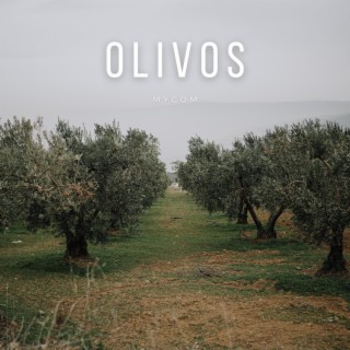 Olivos