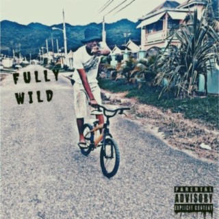 Fully Wild