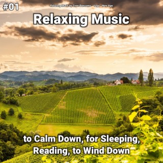 #01 Relaxing Music to Calm Down, for Sleeping, Reading, to Wind Down