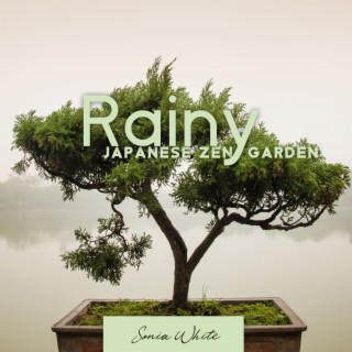 Rainy Japanese Zen Garden: Calming Music for Meditation, Spa & Sleep