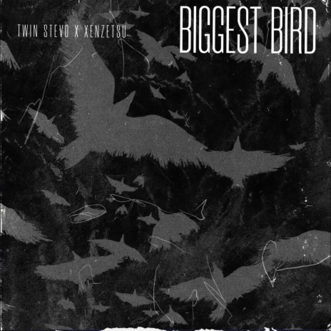 Biggest Bird ft. Xenzetsu | Boomplay Music