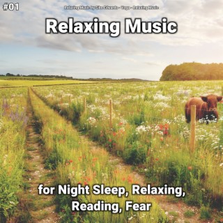 #01 Relaxing Music for Night Sleep, Relaxing, Reading, Fear