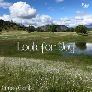 Look For Joy