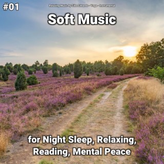 #01 Soft Music for Night Sleep, Relaxing, Reading, Mental Peace