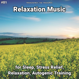 #01 Relaxation Music for Sleep, Stress Relief, Relaxation, Autogenic Training