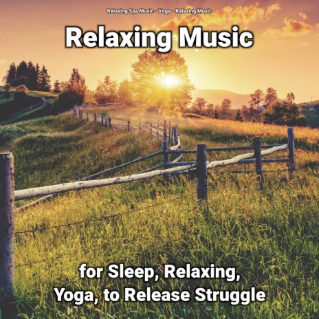 Voice ft. Relaxing Music & Relaxing Spa Music | Boomplay Music