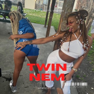 TwinNem