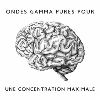 Ondes gamma pures pour une concentration maximale