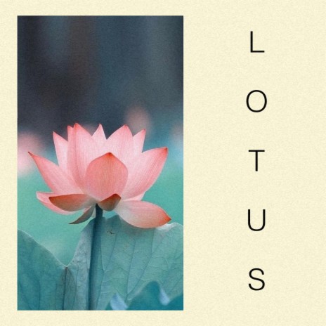 LOTUS ft. vela