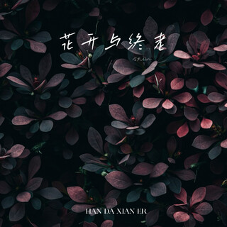 花开与终老 lyrics | Boomplay Music