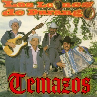 Temazos