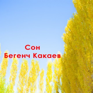 Сон